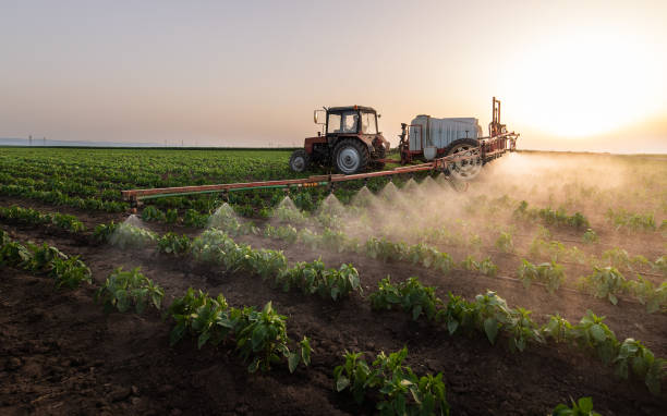 Best Pest Prevention Services  in Fairfield, IA