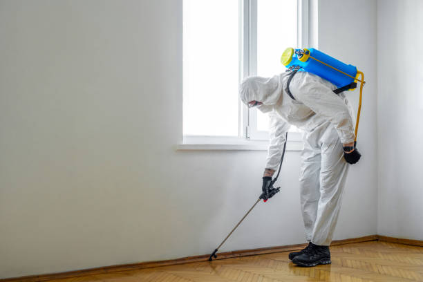 Best Local Pest Control Services  in Fairfield, IA