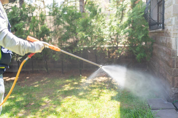Professional Pest Control in Fairfield, IA