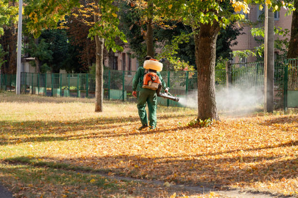  Fairfield, IA Pest Control Pros