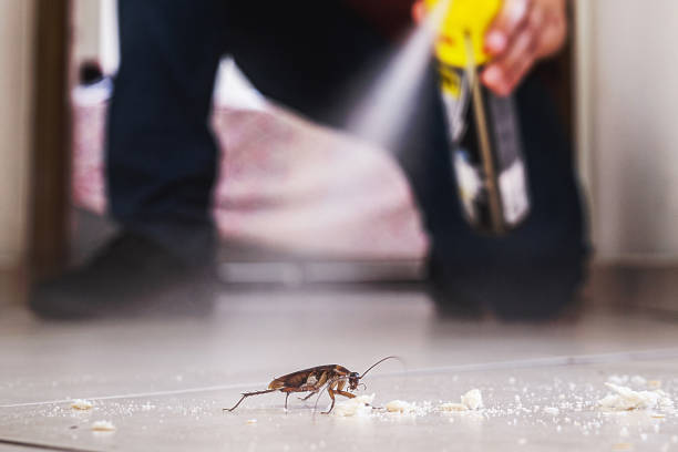 Best Residential Pest Control  in Fairfield, IA