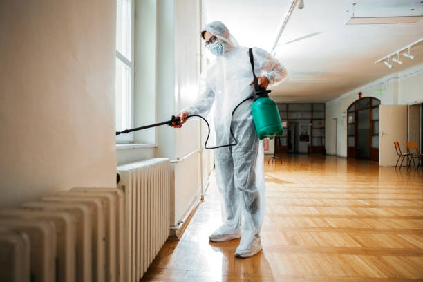 Best Ant Control Services  in Fairfield, IA
