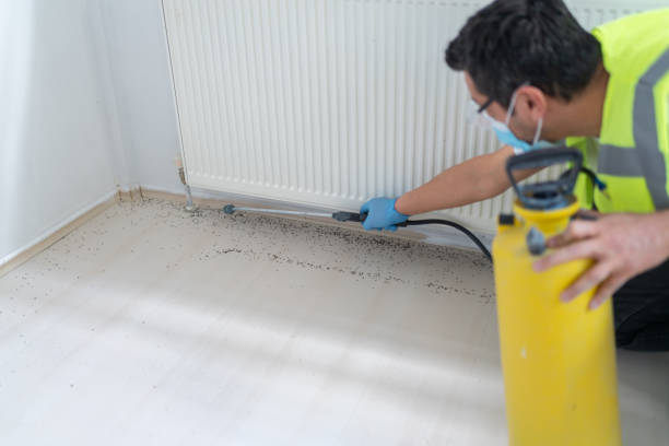 Best Exterminator Services  in Fairfield, IA