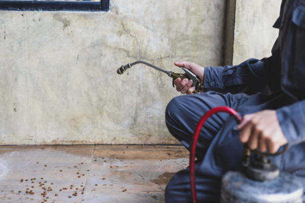 Best Best Pest Control Companies  in Fairfield, IA