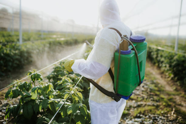 Best Insect Control  in Fairfield, IA